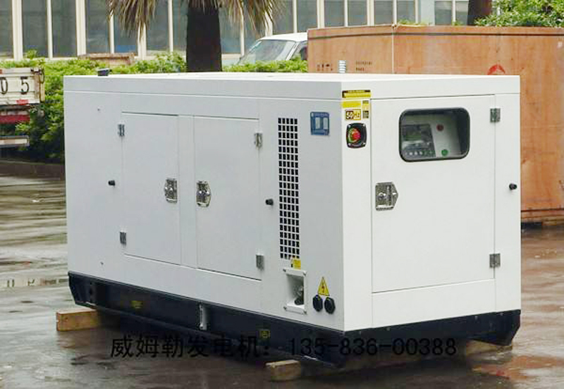 岢岚简述发电机组的未来发展趋势